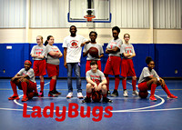 Ladybugs Basketball 2017