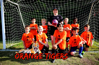 Orange Tigers Soccer 2024